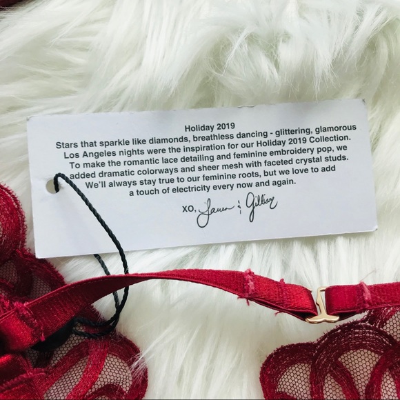 NEW SEXY FOR LOVE AND LEMONS PLUNGE LACE BRA - Picture 7 of 9